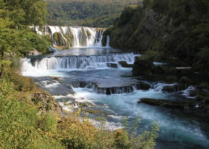 Pure Nature