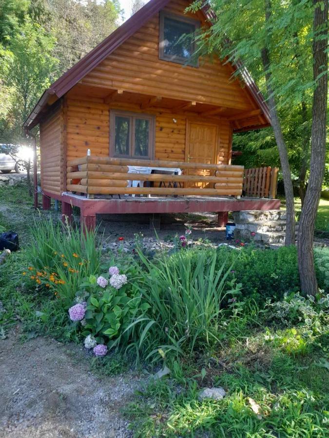 Ferienhaus Pure Nature
