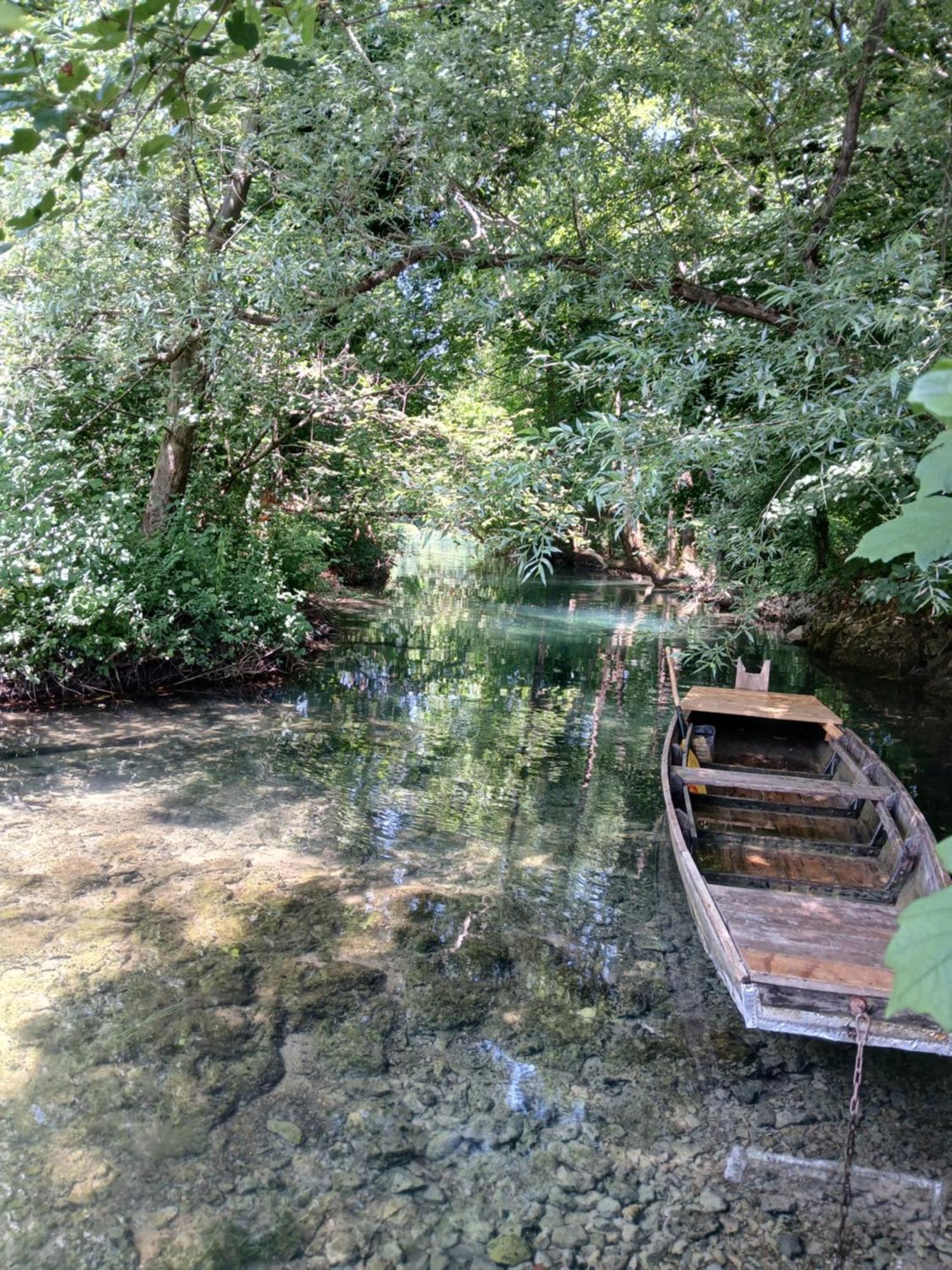 Pure Nature